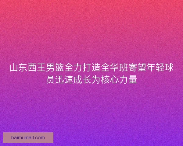 山东西王男篮全力打造全华班寄望年轻球员迅速成长为核心力量 山东西王男篮全力打造全华班寄望年轻球员迅速成长为核心力量